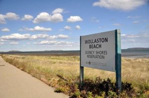 Wollaston Beach