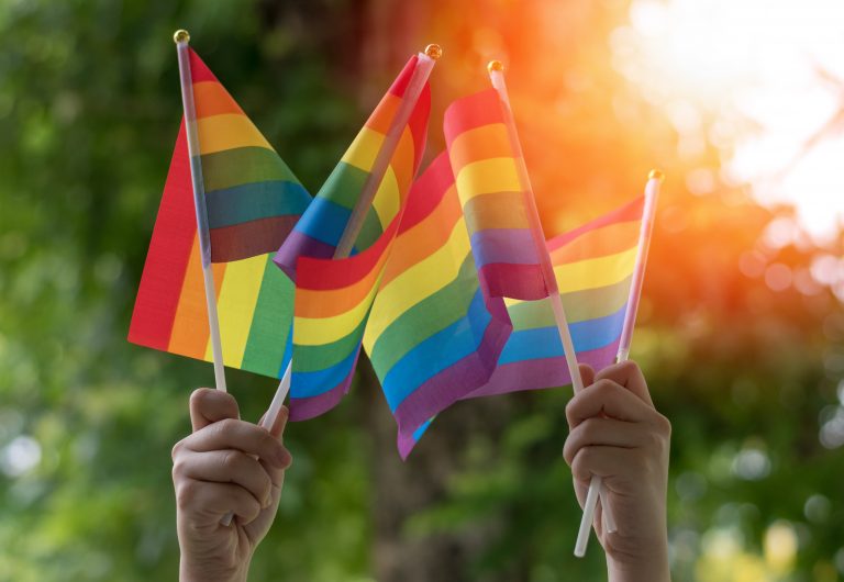 people waving small rainbow flags in the air