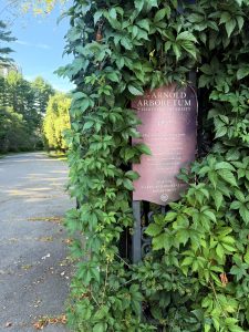 Arnold Arboretum of Harvard University, sweet and simple wedding service location
