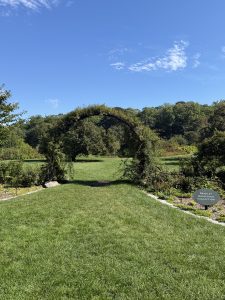 sweet and simple wedding service location